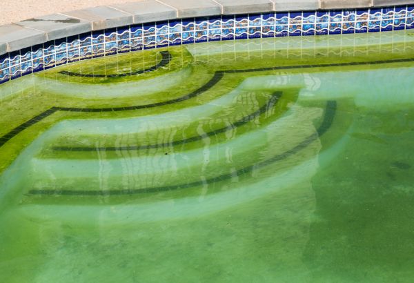 Pool Deck Algae Removal in Bend