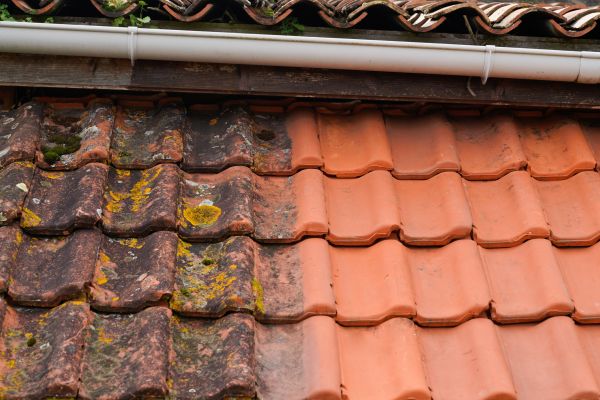 Industrial Roof Cleaning in Bend